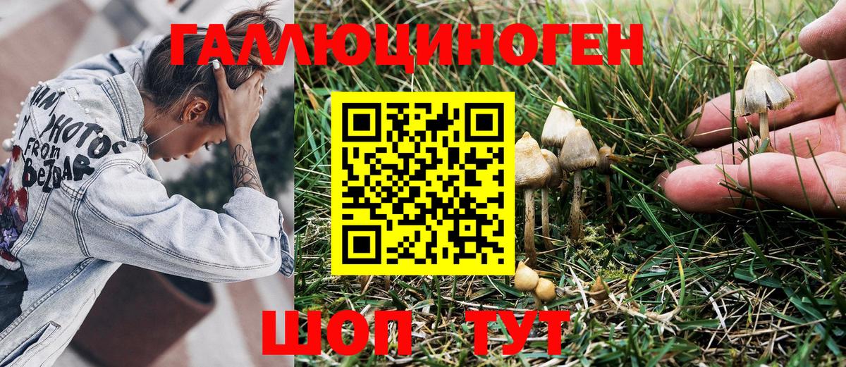 Псилоцибиновые грибы прущие грибы Губкин