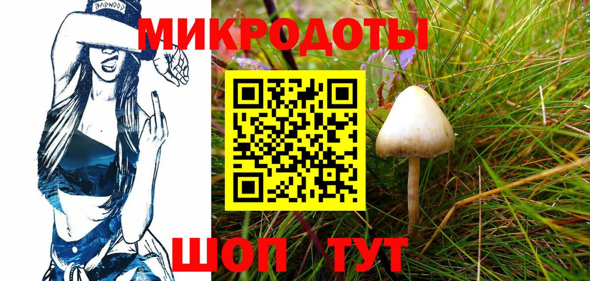 Губкин  Галлюциногенные грибы мицелий  Вход с VPN 
